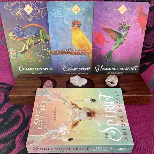 26D5E060-341D-4F8B-B893-C7919F352CCB_1_105_c