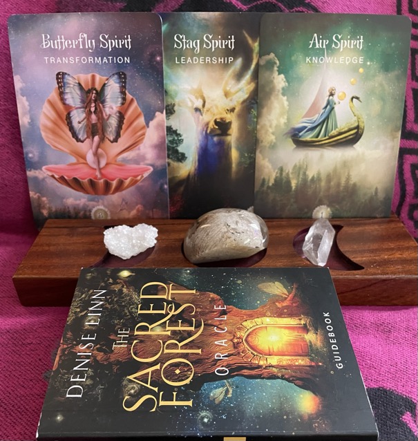 54C1F6F2-E63F-4BED-B285-3BFB328C80D7