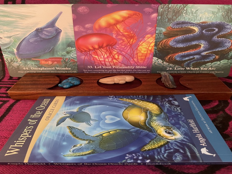 89FF3179-D6AE-4E0F-8699-25247CD5D4AD